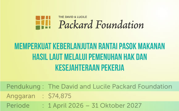 banner-Program---The-David-and-Lucile-Packard-Foundation_Idn