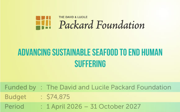 banner-Program---The-David-and-Lucile-Packard-Foundation_eng